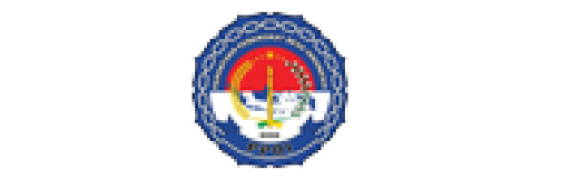 https://puskominfoppdi.or.id/
